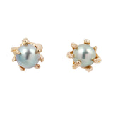 Yellow Gold Akoya Pearl Stingray Claw Studs